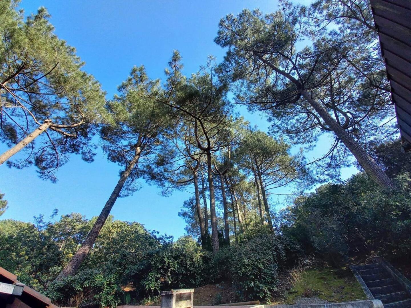 La De Dadou Apartment Lacanau